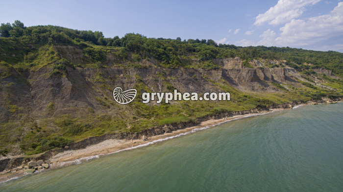 Falaise des Vaches Noires (Normandie, Calvados) - gryphea.org